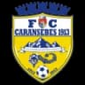 Caransebeş logo