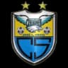 Carlos Stein logo