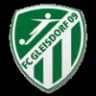 Gleisdorf 09 logo