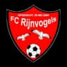 Rijnvogels
