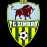 Zimbru W