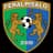 FeralpiSalò Srl