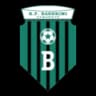 FK Bashkimi Kumanovo