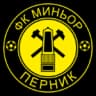 FK Minyor Pernik logo