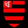 Flamengo-PI logo