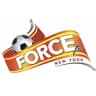 Force New York logo
