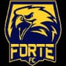 Forte-ES Sub-20
