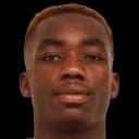 Yann Karamoh