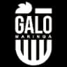 Galo Maringá
