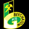 Bełchatów logo