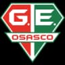 Grêmio Osasco Sub-20 logo