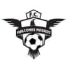 Halcones Negros