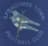 Ilfracombe Town