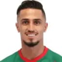 Ali Alipour Ghara