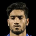 Hossein Abarghouei
