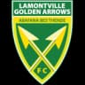 Golden Arrows