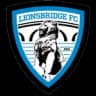 Lionsbridge logo
