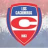 Los Cachorros Salta