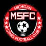 Michigan Stars