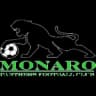 Monaro Panthers