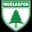 Muğlaspor