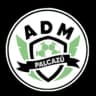Palcazú logo