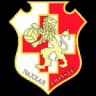 Naxxar Lions logo