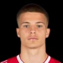 Damjan Dostanic