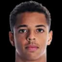 Justin Lonwijk