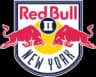 New York RB II logo