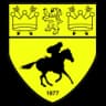 Newmarket Town FC