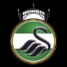 Newport Pagnell Town