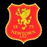 Newtown logo