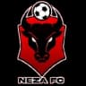 Toros Neza