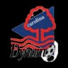 North Carolina Fusion U23 logo