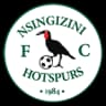 Nsingizini Hotspurs