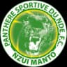 Panthère du Ndé
