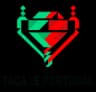 Portugal Taça de Portugal logo