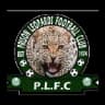 Prison Leopards