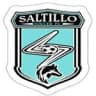 Saltillo Soccer