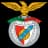 Benfica Feminino