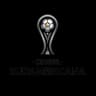 South America Copa Sudamericana logo