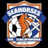 Southern California Seahorses