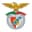 Arronches e Benfica