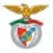 Arronches e Benfica