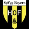 Bayern Hof logo