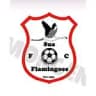 Sua Flamingoes