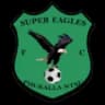 Super Eagles logo