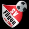 Fügen logo