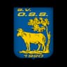 OSS '20 logo
